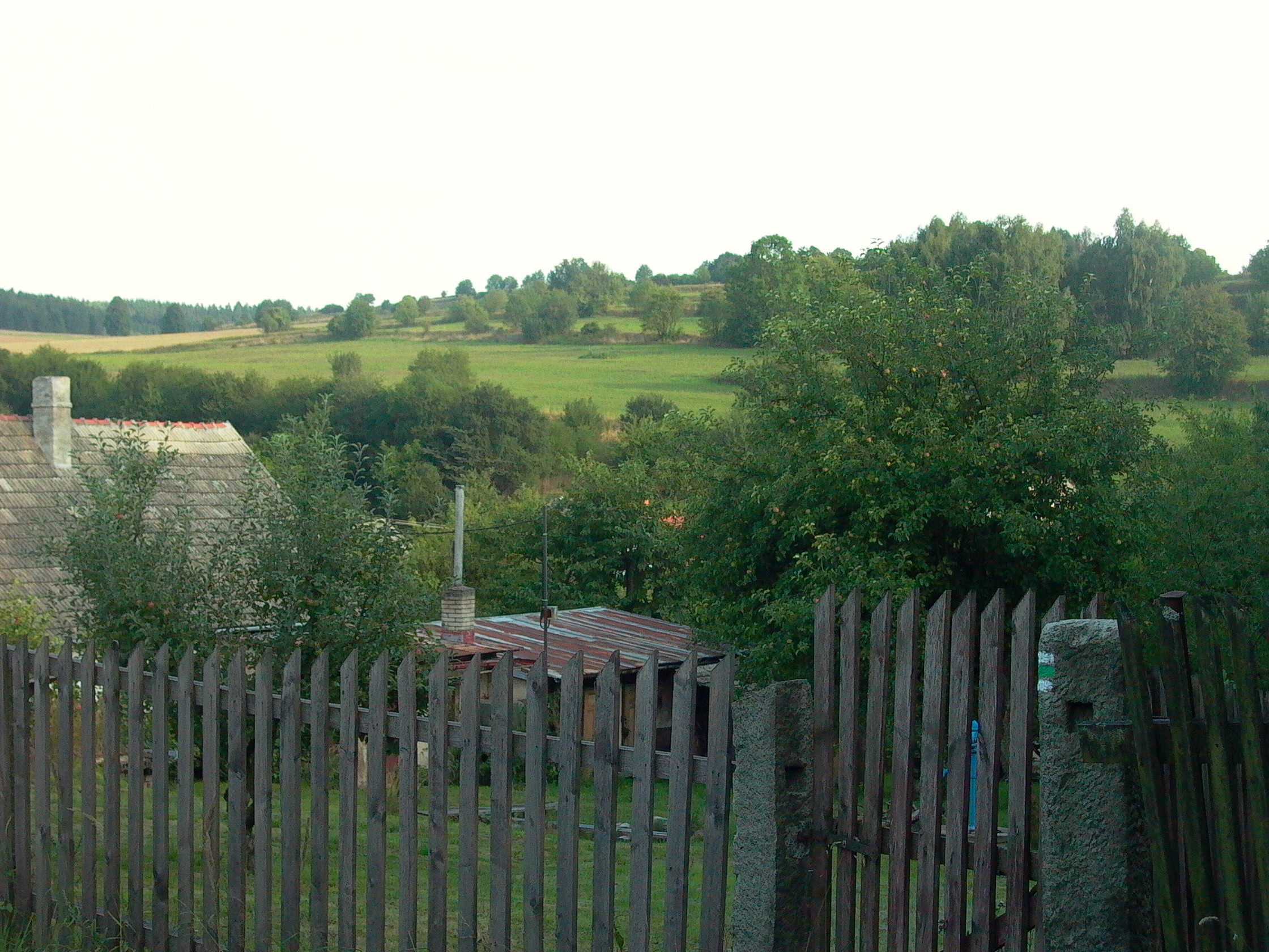 P1260677