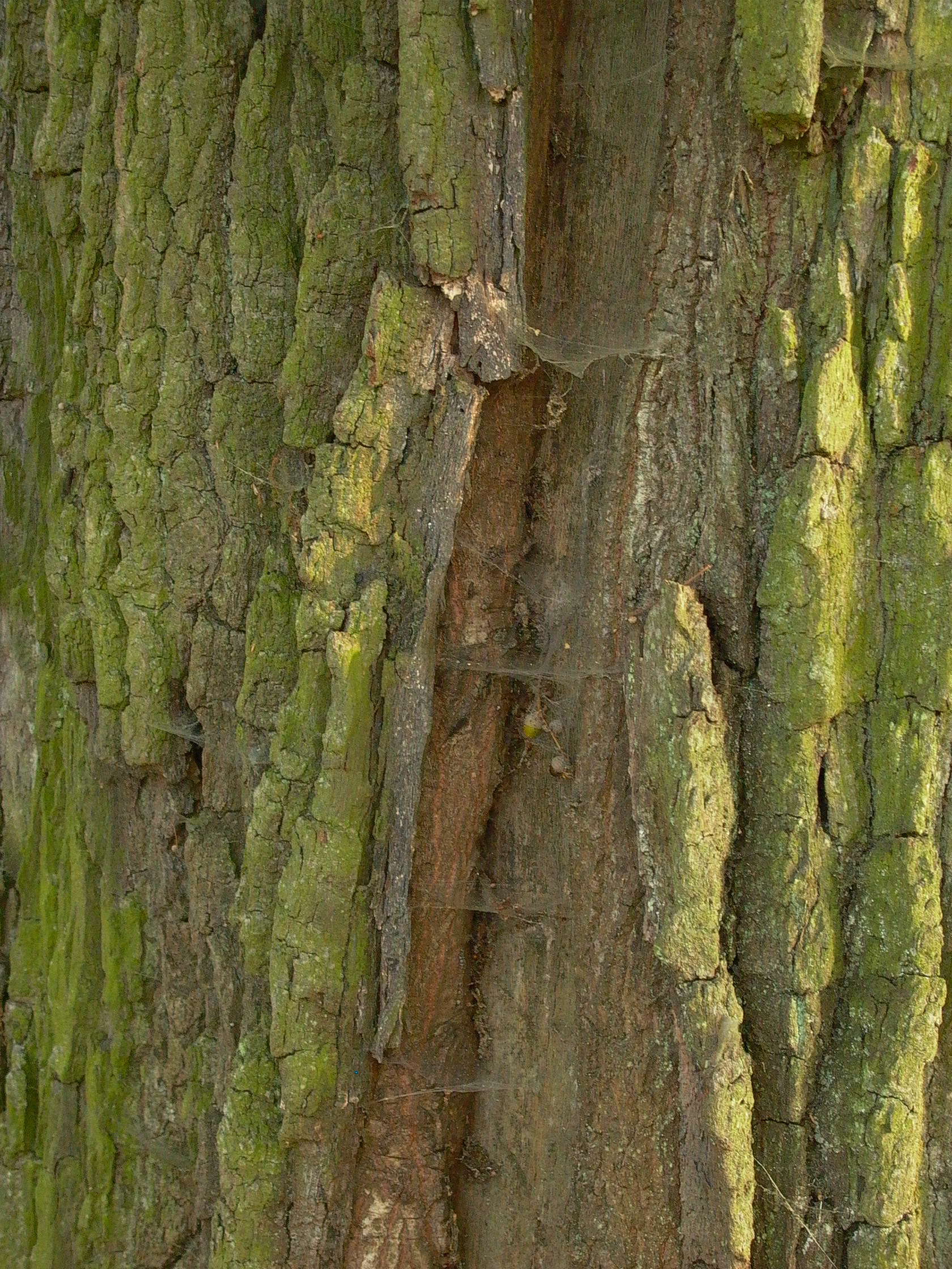 P1260663
