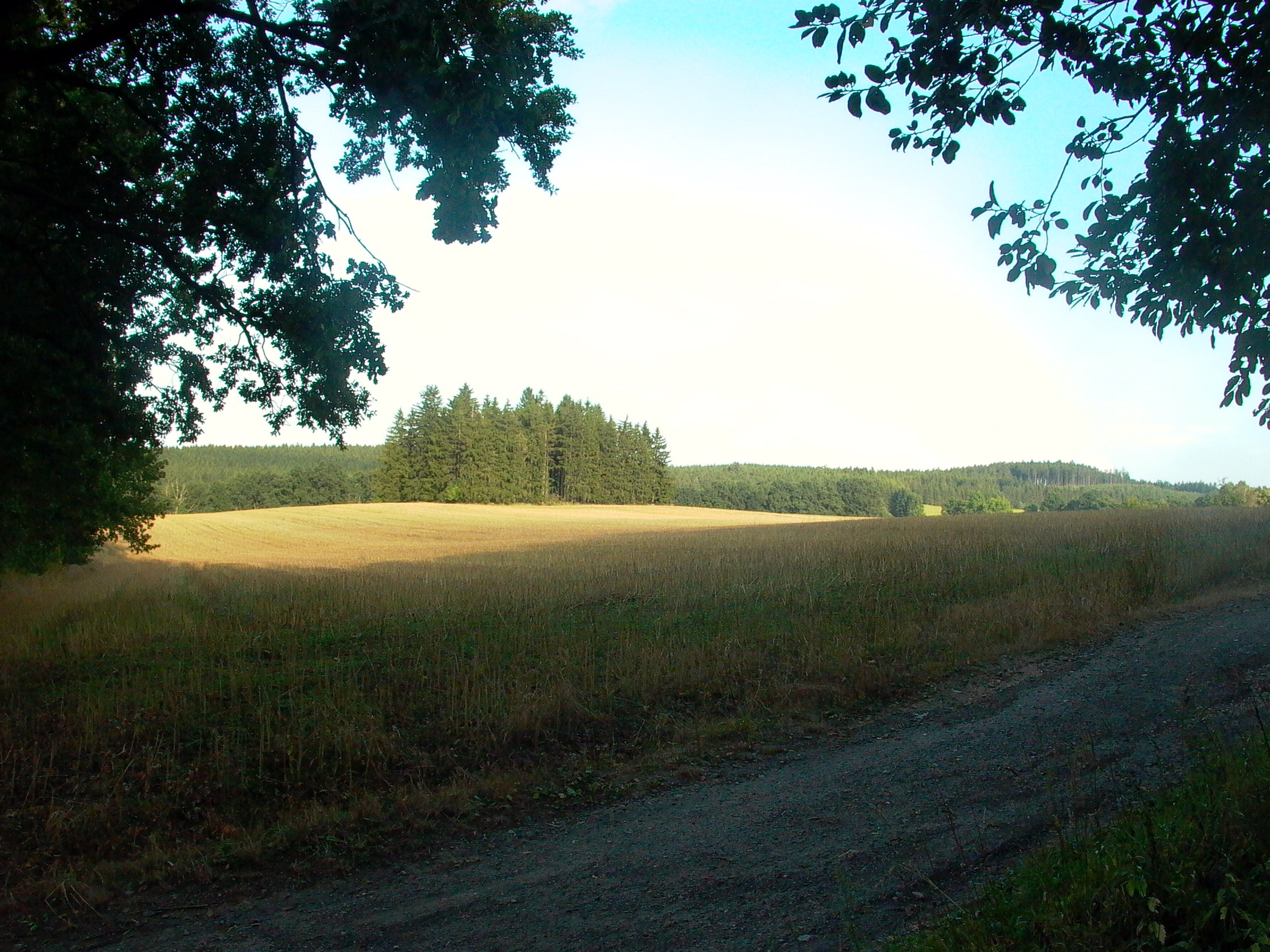 P1260667