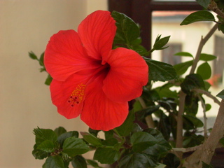 P1270048
