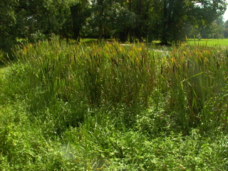 P1260701