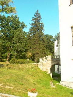 P1260659