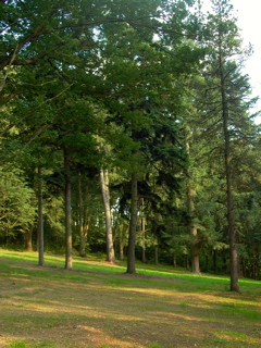 P1260665