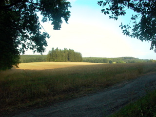 P1260667