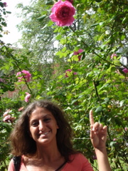 DSC09827