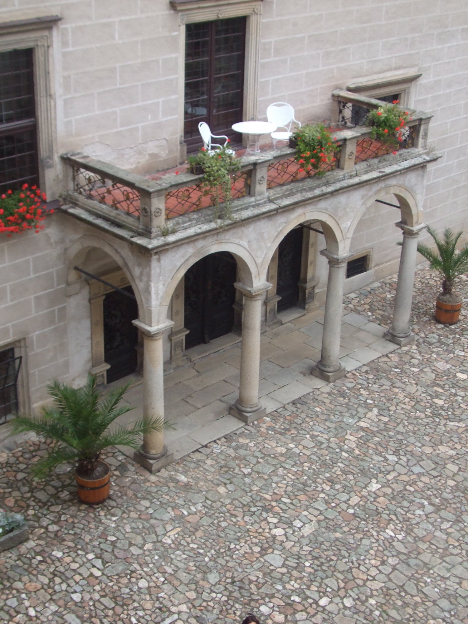 DSCF1679