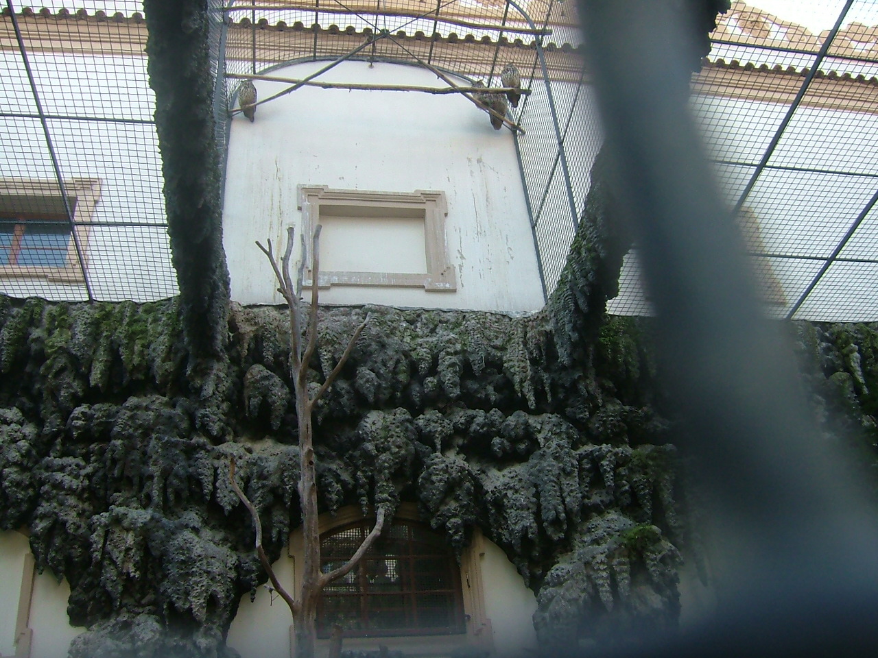 DSCF1459