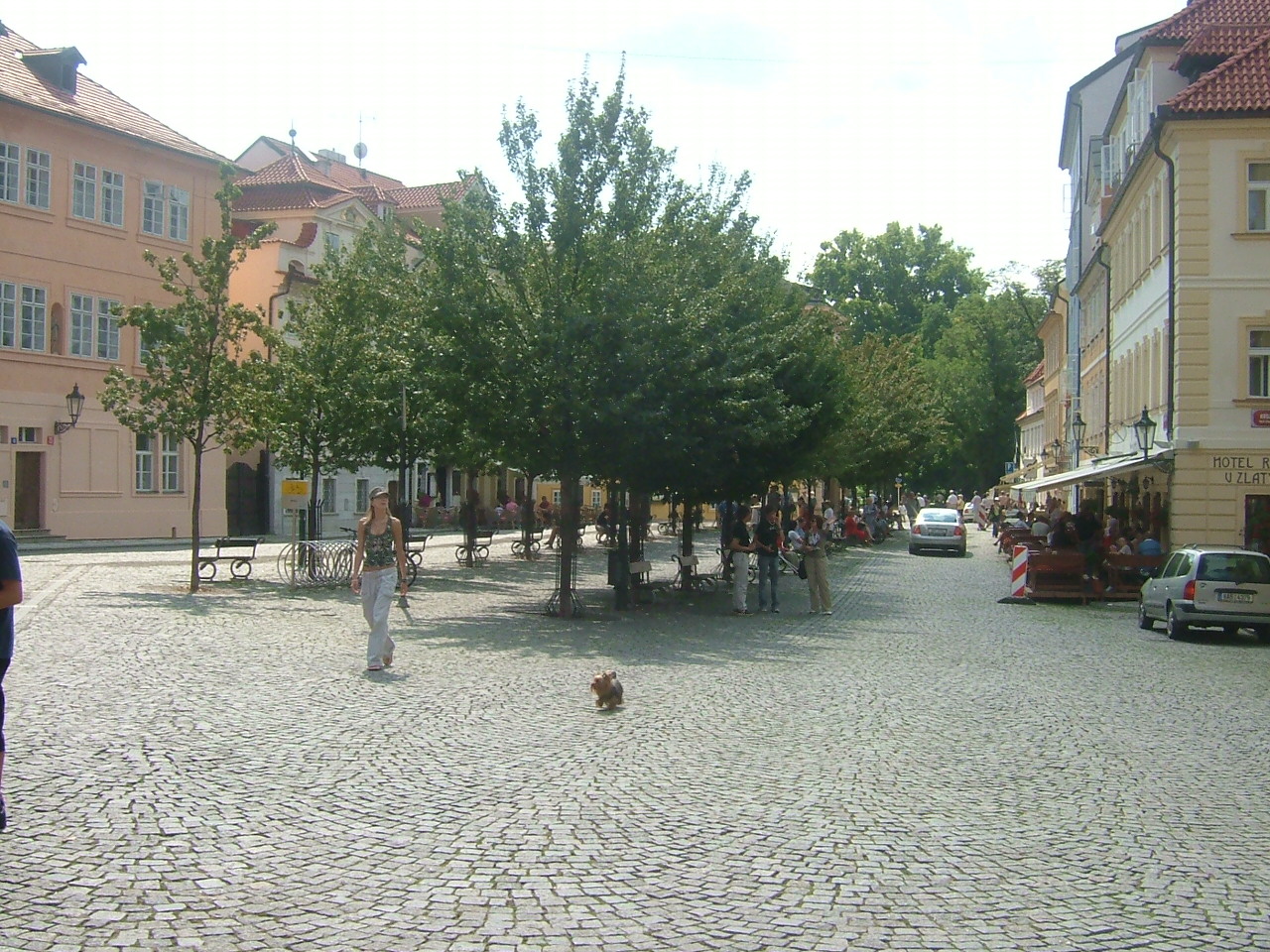 DSCF1462