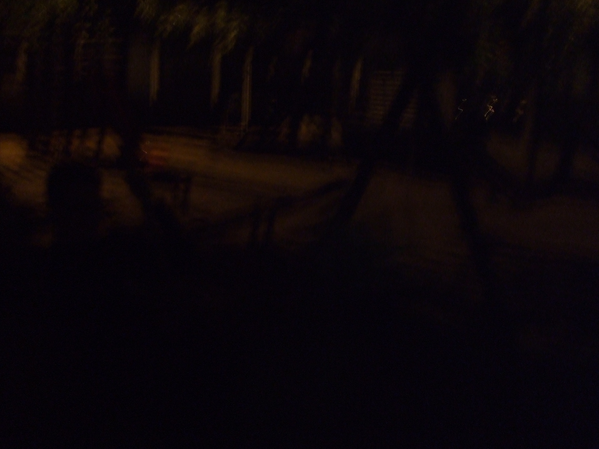 DSCF1764