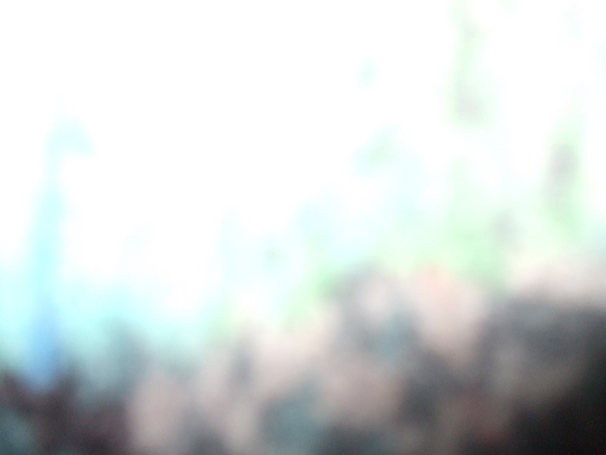 DSCF1770
