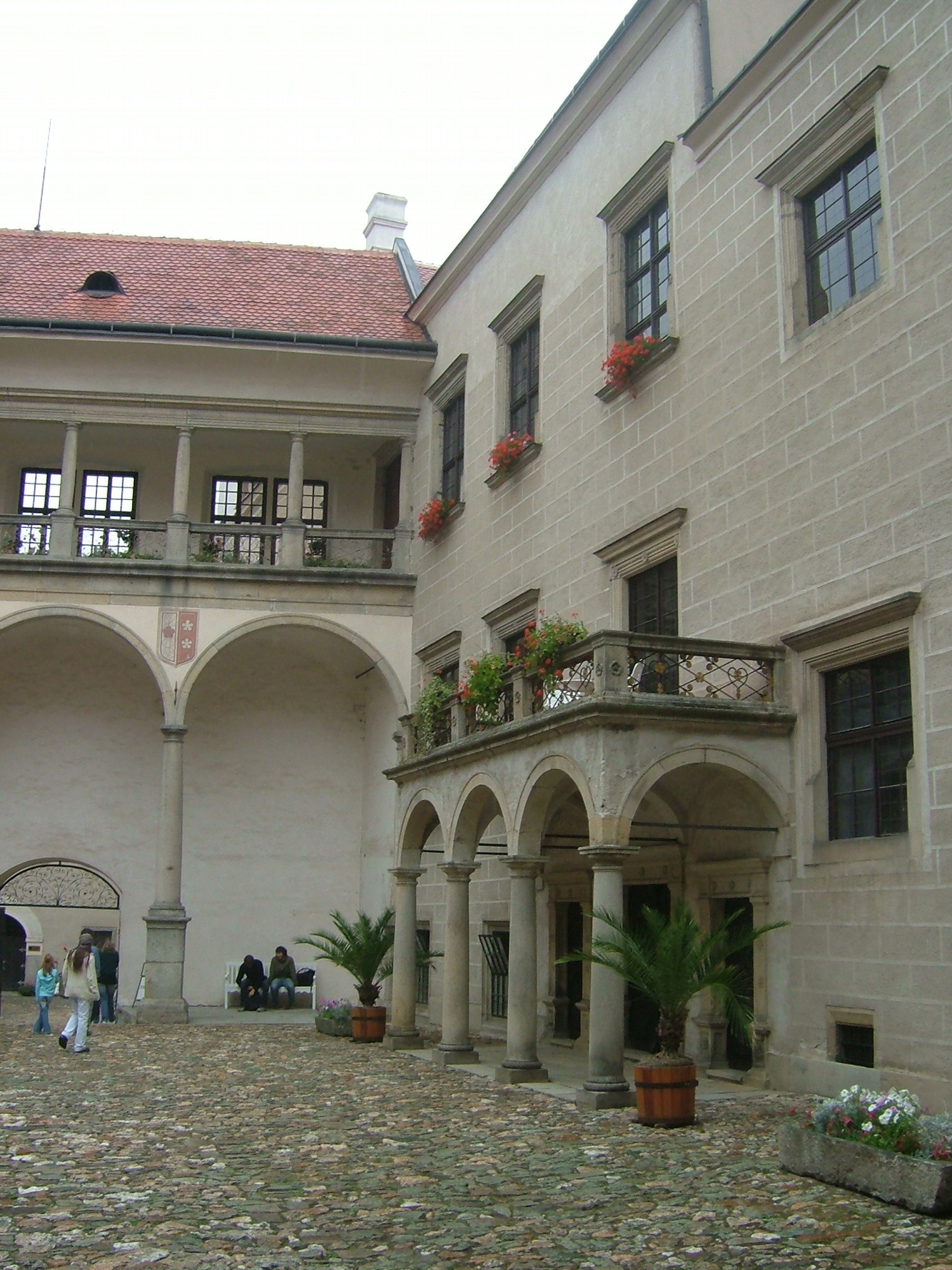 DSCF1515