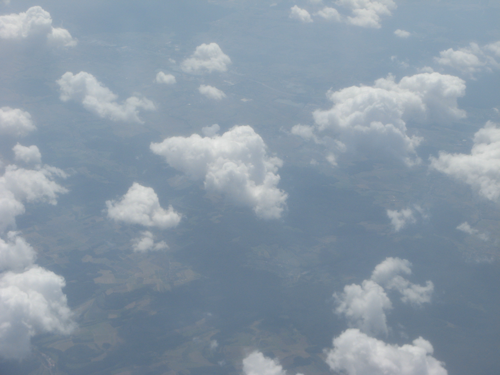 Photo 006