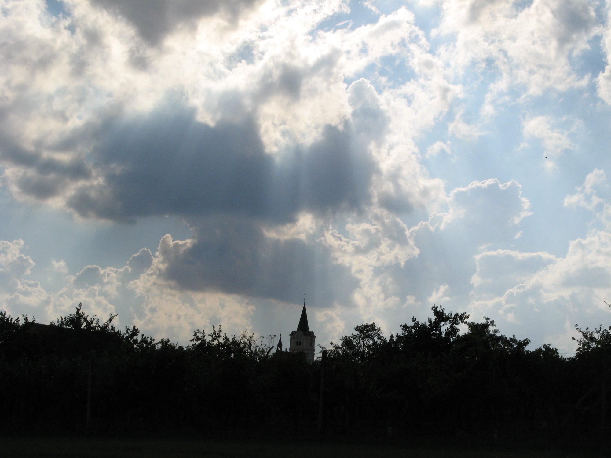 Photo 088