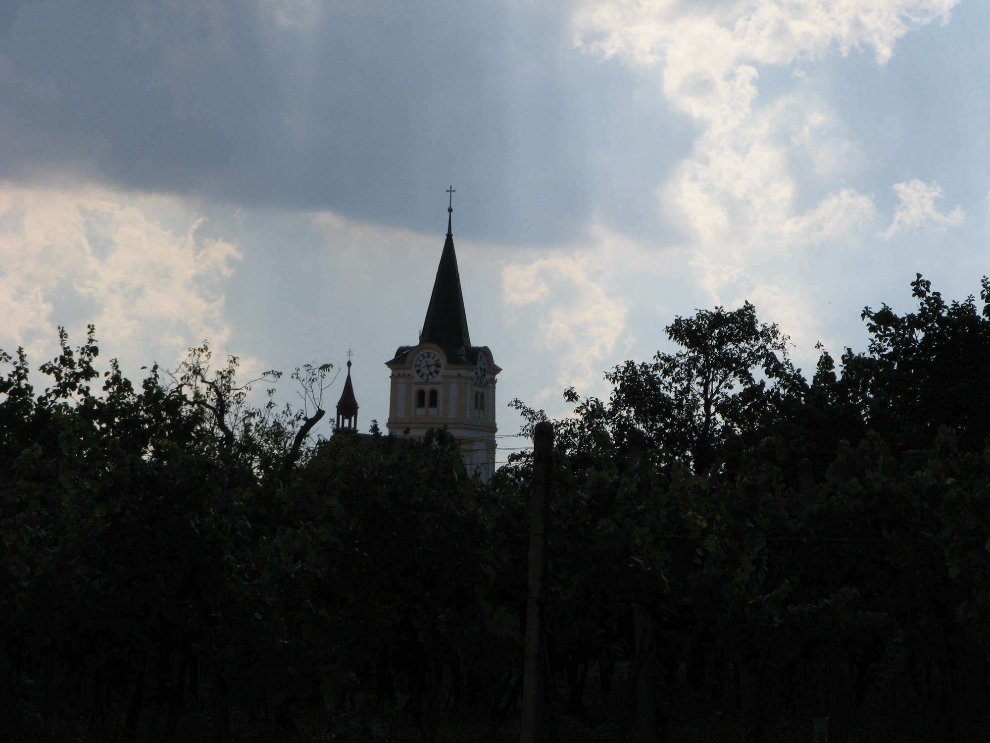 Photo 089
