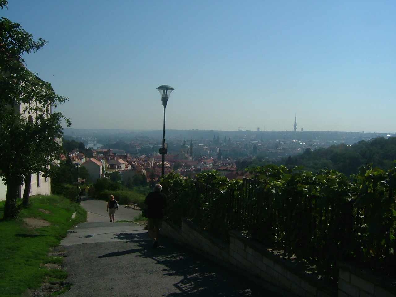 DSCF1425