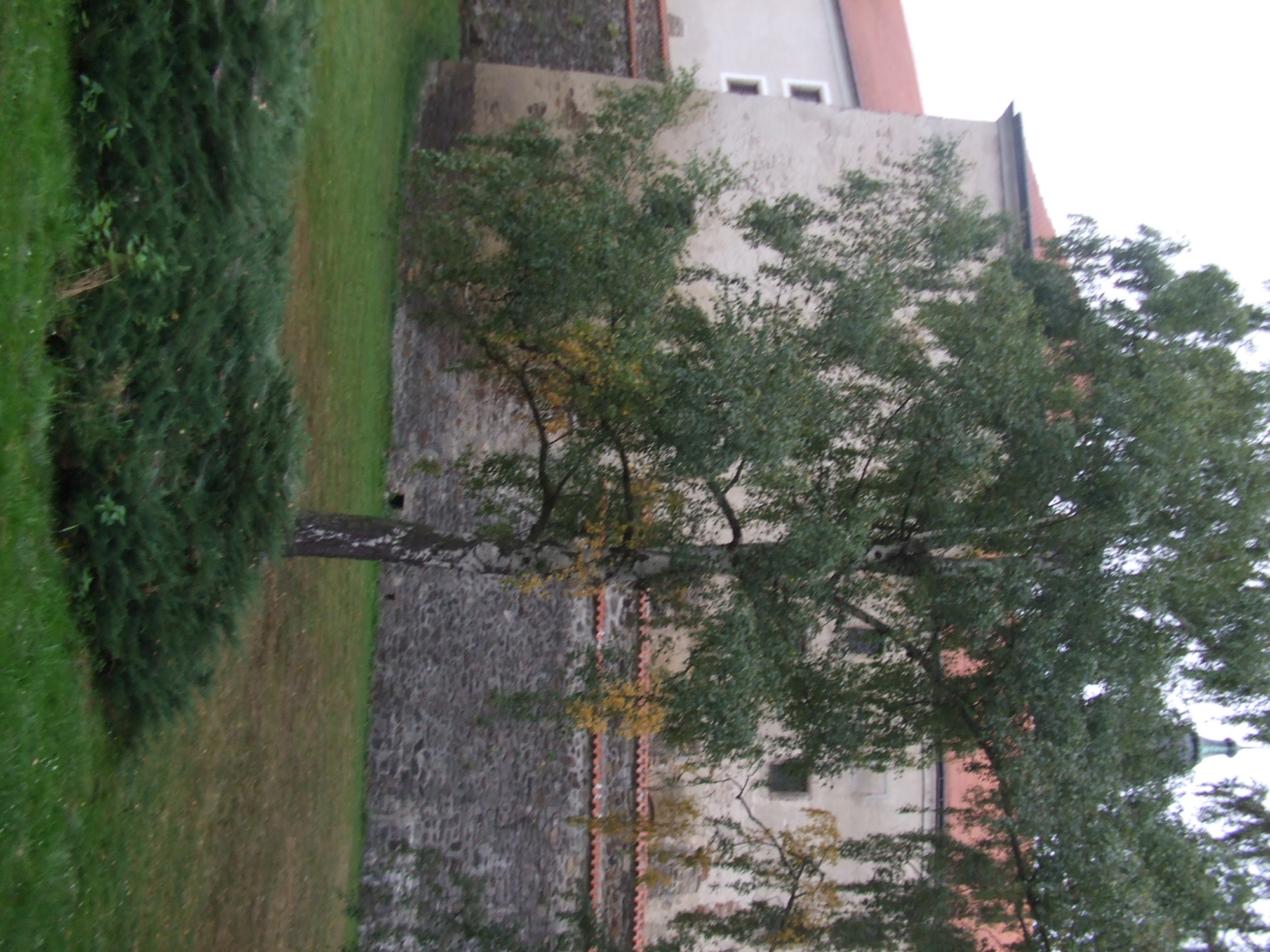 DSCF1614