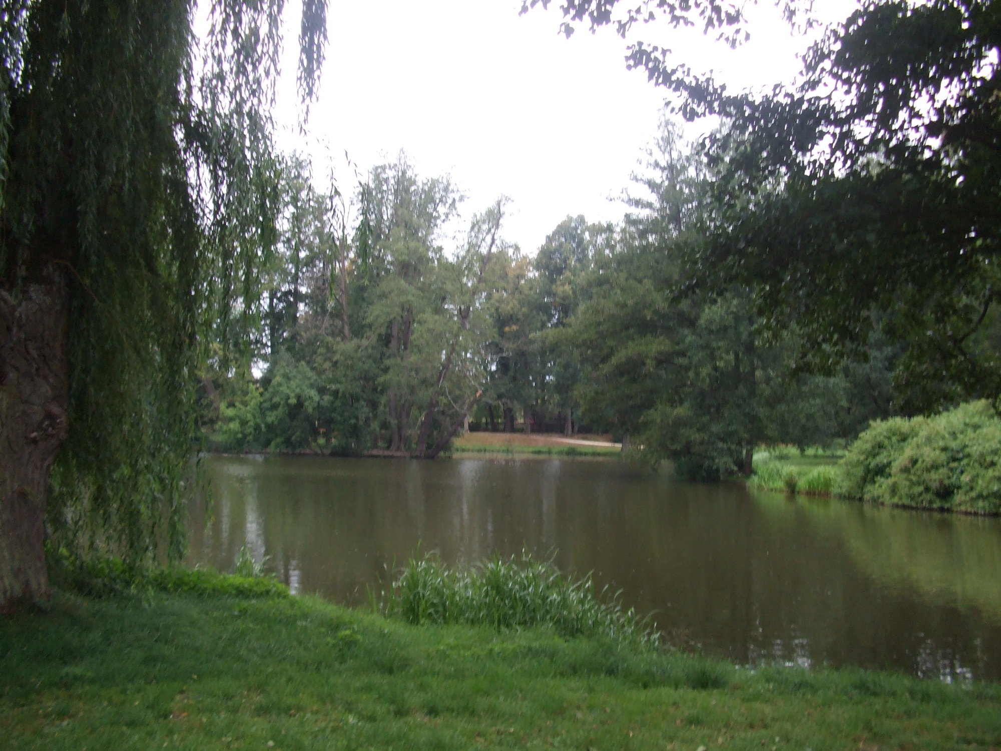 DSCF1615