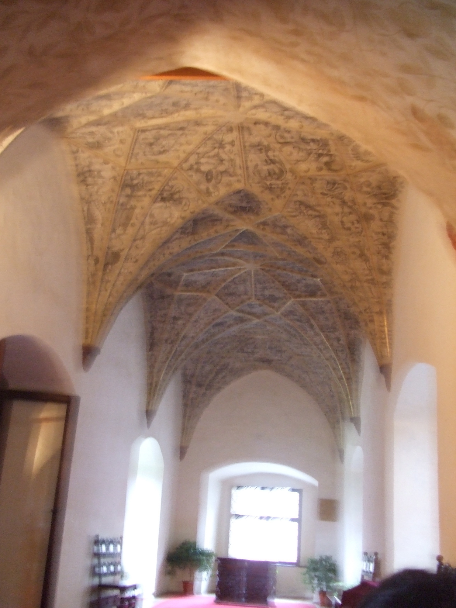 DSCF1647