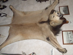 DSCF1664