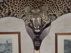 DSCF1665