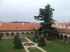 DSCF1666
