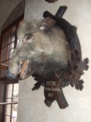 DSCF1690