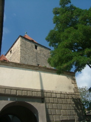 DSCF1453