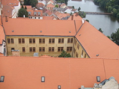 DSCF1693