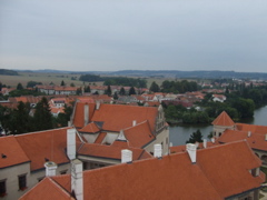 DSCF1696