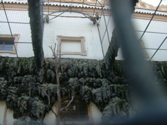 DSCF1459
