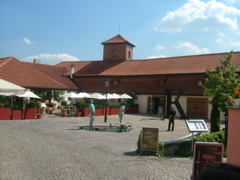 DSCF1460