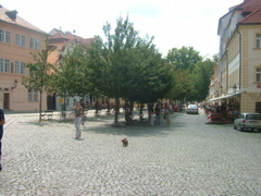 DSCF1462