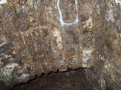 DSCF1746