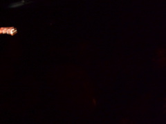 DSCF1768