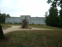 DSCF1503