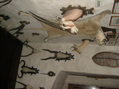DSCF1527