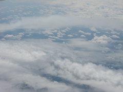 Photo 005