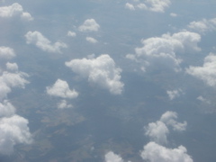 Photo 006