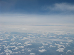Photo 009