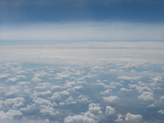 Photo 010