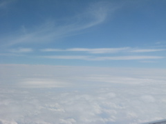 Photo 011