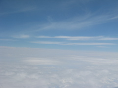 Photo 012