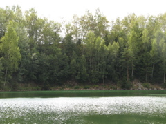 Photo 063