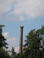 Photo 072