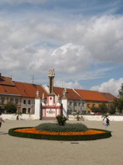 Photo 082