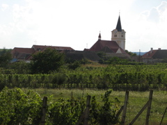 Photo 090