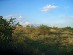 CIMG9560