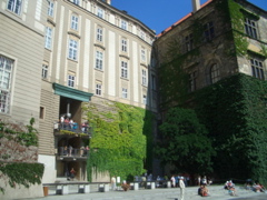 CIMG9571