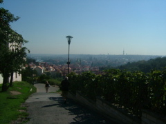 DSCF1425