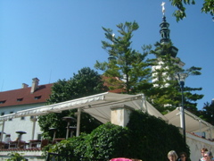 DSCF1426